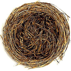Easter decor - Bird's nest, 7 cm.
