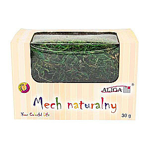 Decor for Creativity - Natural Moss, 30g