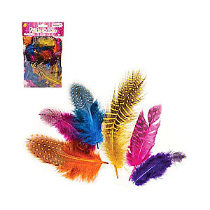 Decor-feathers, 3g colored