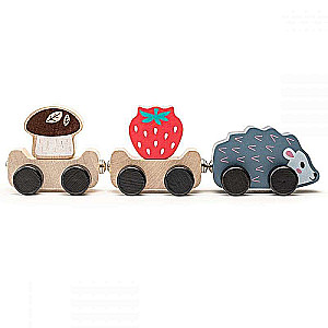 Wooden Train - Hedgehog