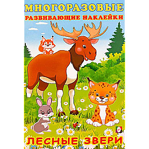 Forest Animals