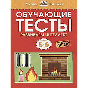 Educational Tests. Developing Intelligence for 5–6 Years Old