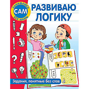 I develop logic. Tasks understandable without words