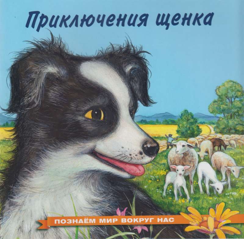 The Adventures of a Puppy