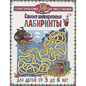 The Most Interesting Mazes. For Children Aged 3 to 6 Years