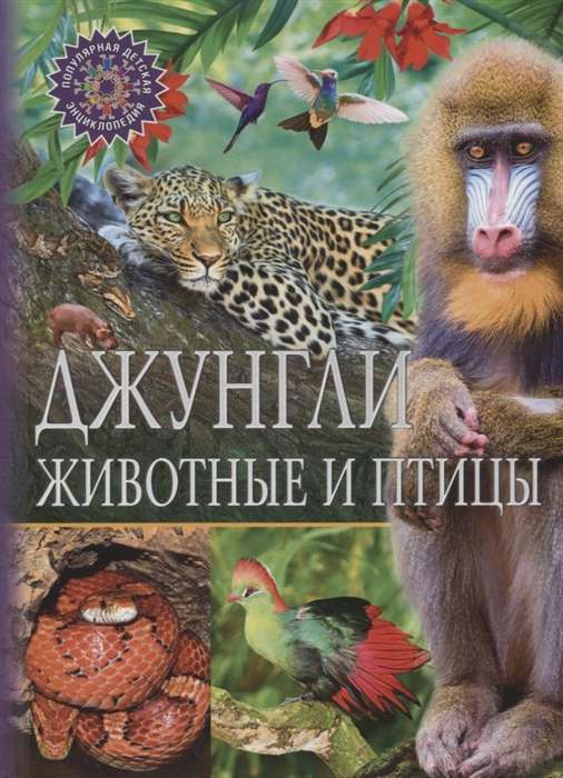 Jungles. Animals and Birds