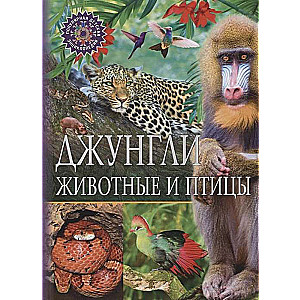 Džungļi. Dzīvnieki un putni