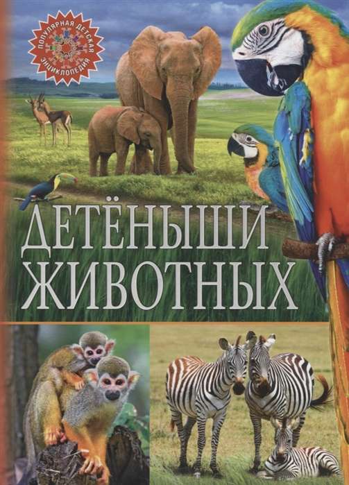 Animal Babies