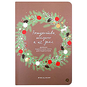 The Christmas I Didn't Know. A Joyful Advent Diary for Teenagers