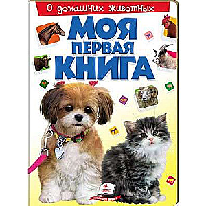 My First Book. About Pets
