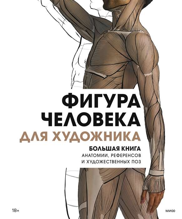 Figure of a Person for the Artist. A Large Book of Anatomy, References, and Artistic Poses