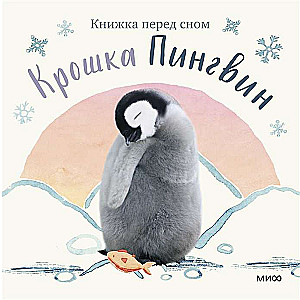 Baby Penguin