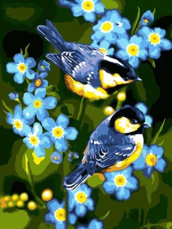 Painting by numbers - Tits