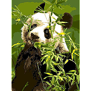 Painting by numbers - Panda