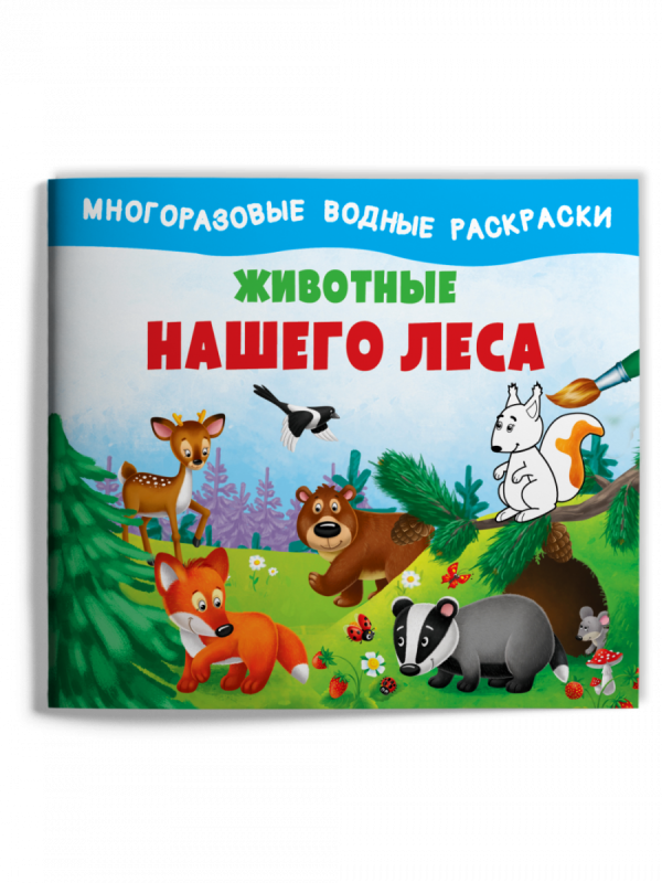Animals of Our Forest. Reusable Water Coloring Books