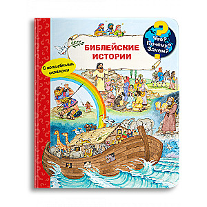 What? Why? How? Bible Stories