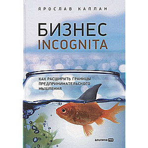 Business Incognito. How to Expand the Boundaries of Entrepreneurial Thinking