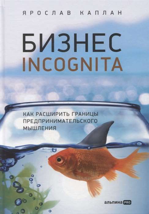 Business Incognito. How to Expand the Boundaries of Entrepreneurial Thinking