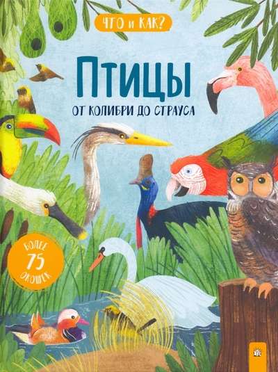 What and How Birds: from Hummingbirds to Ostriches