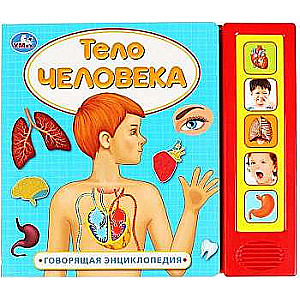 The Human Body. A Talking Encyclopedia