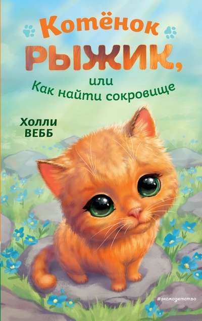 Kitten Ryzhik, or How to Find a Treasure