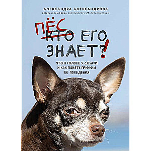 Who Knows! What's on a Dog's Mind and How to Understand the Reasons for Its Behavior