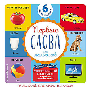Set of 6 super-durable mini-books First Words for boys