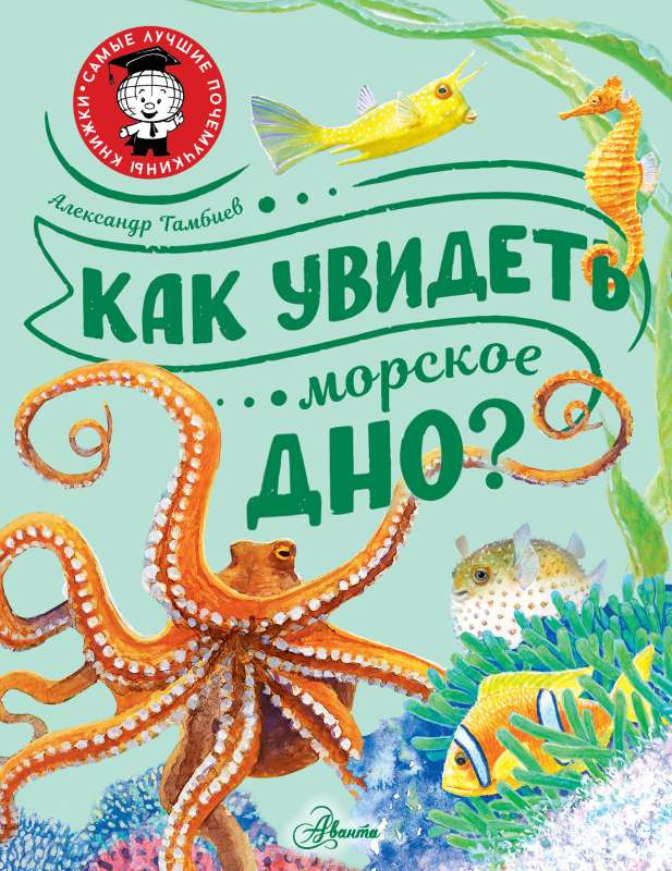 How to See the Seabed?