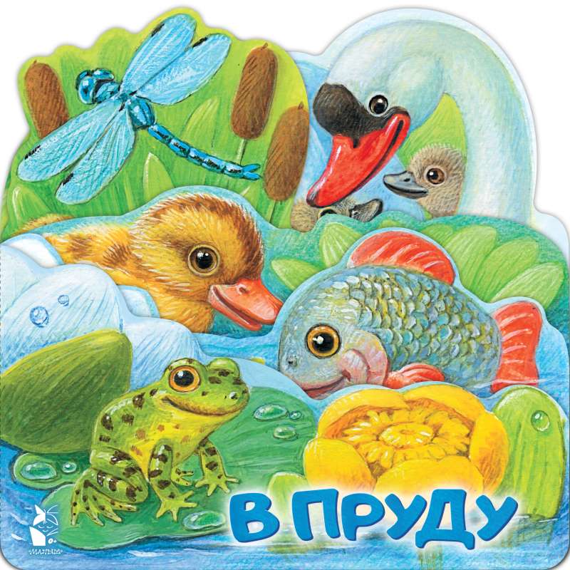 In the Pond