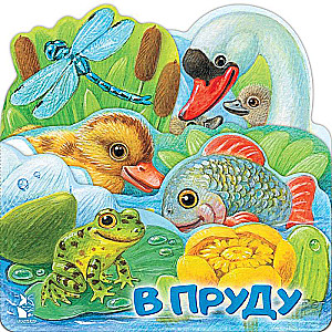 In the Pond