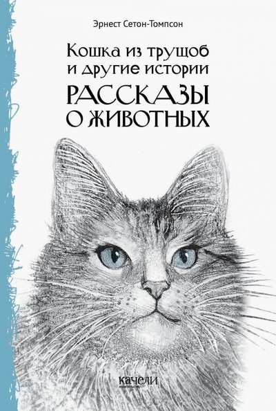 The Cat from the Slums