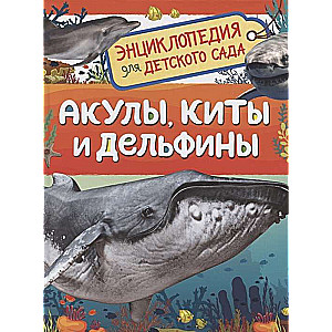 Sharks, Whales and Dolphins