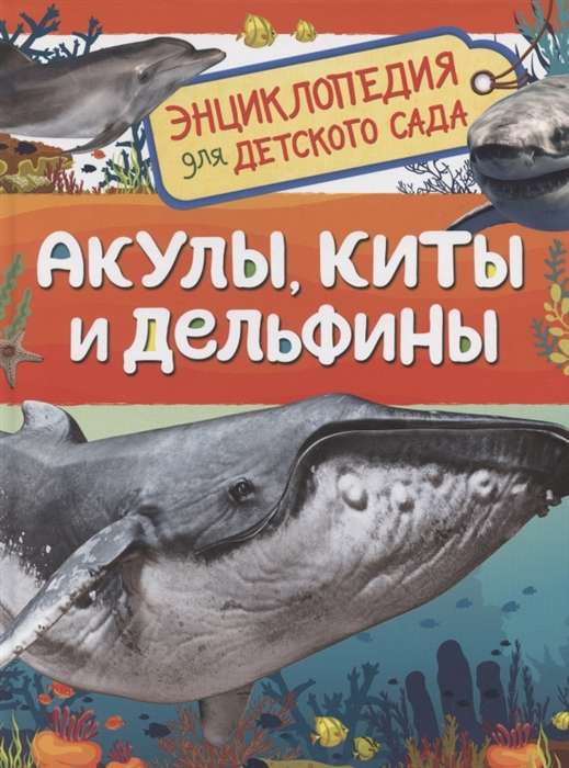 Sharks, Whales and Dolphins