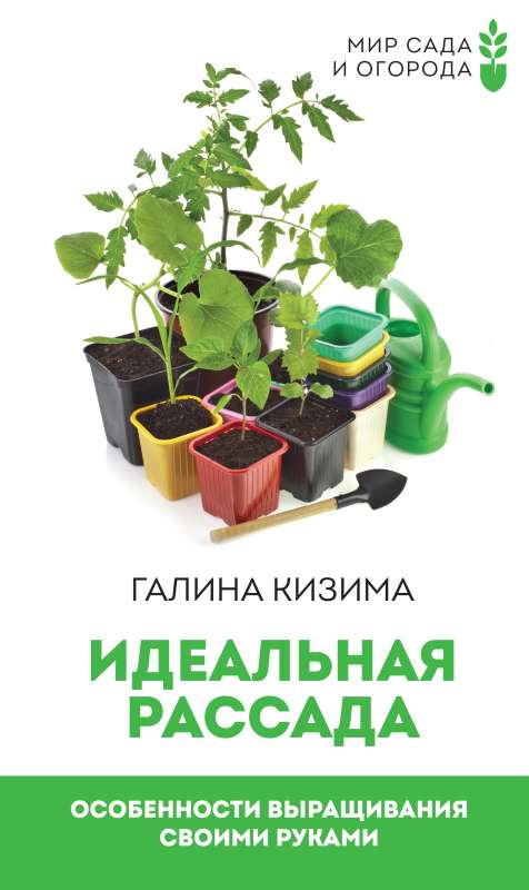 Perfect Seedlings. Features of Growing by Yourself
