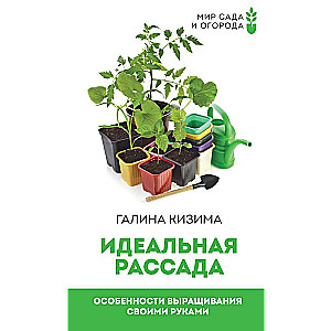 Perfect Seedlings. Features of Growing by Yourself