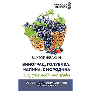 Grapes, blueberries, raspberries, currants and other favorite berries. Features of growing with your own hands