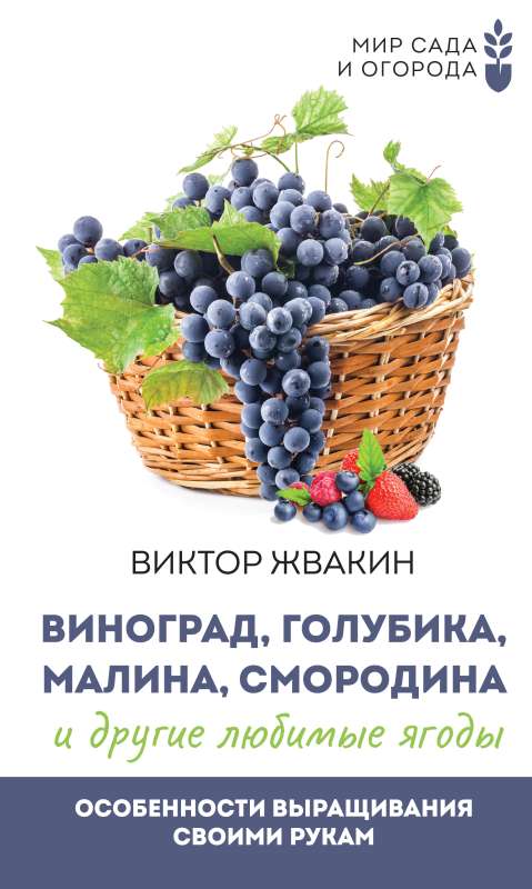 Grapes, blueberries, raspberries, currants and other favorite berries. Features of growing with your own hands