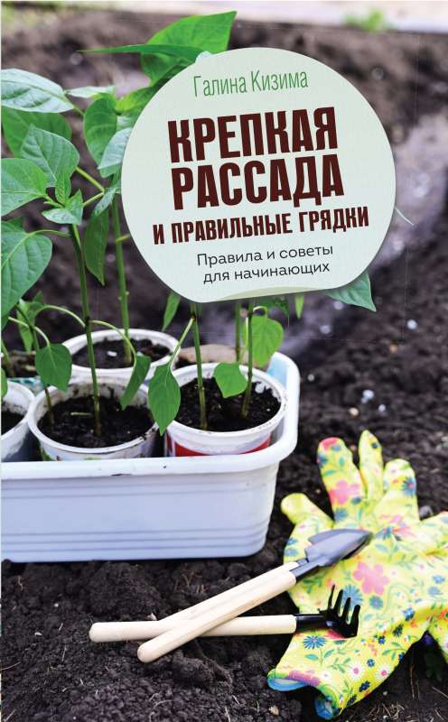 Strong Seedlings and Proper Garden Beds. Rules and Tips for Beginners