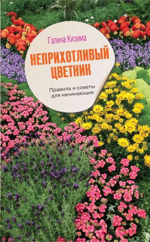 Unpretentious Flower Garden. Rules and Tips for Beginners