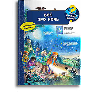 What? Why? Why? For the little one. Everything about night with magical windows