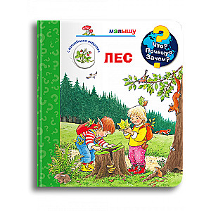 What? Why? How? For the Little One. The Forest with Magical Windows