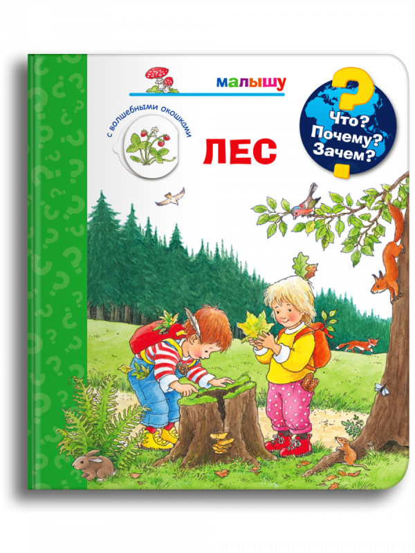 What? Why? How? For the Little One. The Forest with Magical Windows