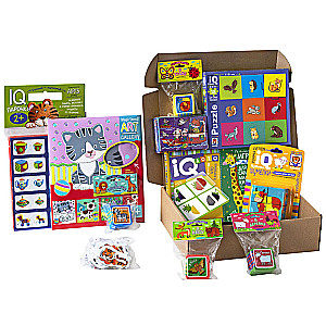 Package. From Santa Claus. 2-3 years. Large IQ games set