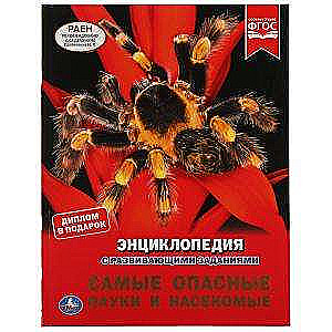 The Most Dangerous Spiders and Insects