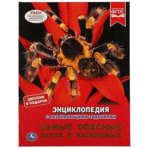 The Most Dangerous Spiders and Insects