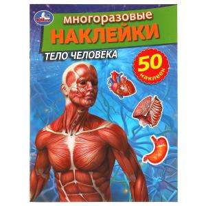 The Human Body. Reusable Stickers