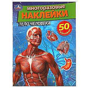 The Human Body. Reusable Stickers