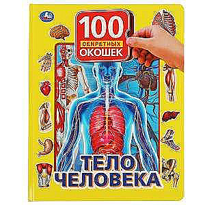 The Human Body. 100 Secret Windows for Toddlers