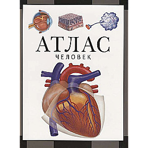 Man. Atlas