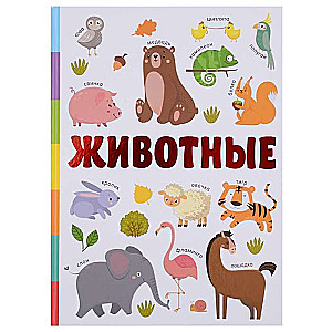 Animals